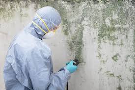 Best Real Estate Mold Inspection  in Orange, CA